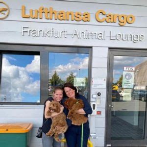 Frankfurt Animal Lounge